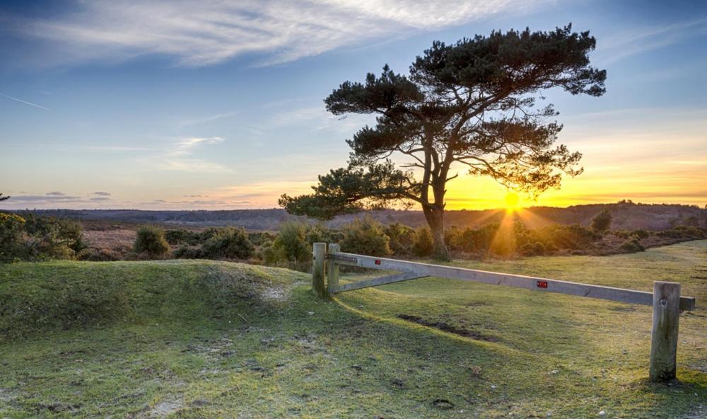 The Knightwood Oak A Luxury King Size En-Suite Space - Lymington New Forest With Totally Private Entrance - Key Box Entry - Free Parking & Private Outdoor Seating Area - Town ,Shops , Pubs & Solent Way Walking Distance & Complimentary Breakfast Items Exteriör bild