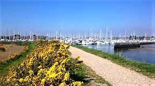 The Knightwood Oak A Luxury King Size En-Suite Space - Lymington New Forest With Totally Private Entrance - Key Box Entry - Free Parking & Private Outdoor Seating Area - Town ,Shops , Pubs & Solent Way Walking Distance & Complimentary Breakfast Items Exteriör bild